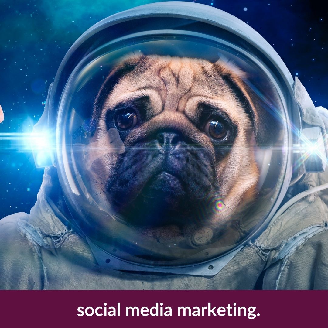 Staffordshire Social Media Services